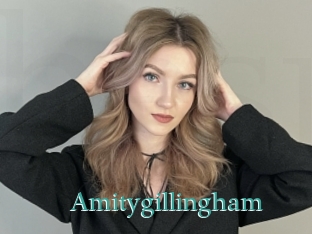 Amitygillingham