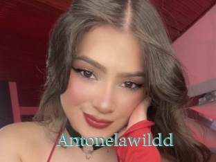 Antonelawildd