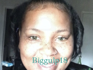 Biggulp18