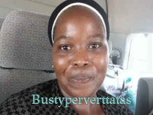 Bustyperverttatas