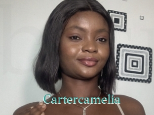 Cartercamelia