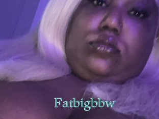 Fatbigbbw