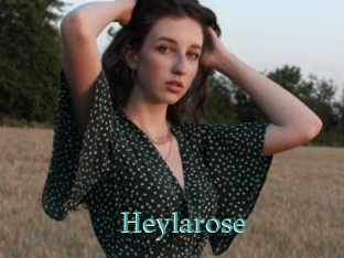 Heylarose