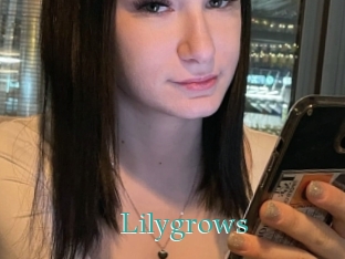 Lilygrows