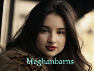 Meghanbarns