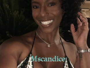 Mscandice