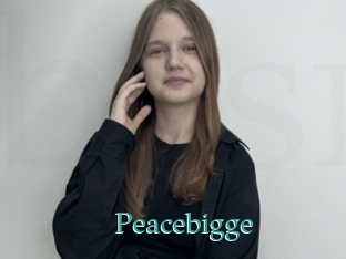 Peacebigge