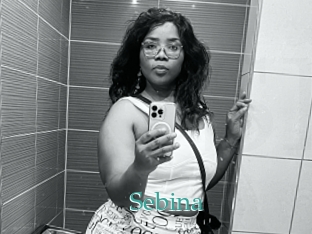 Sebina