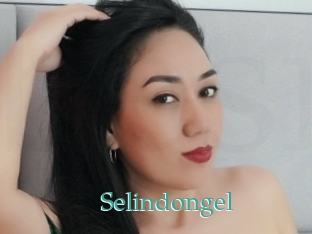 Selindongel